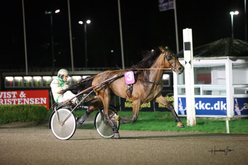 Borgmesteren har to heste med jaguar