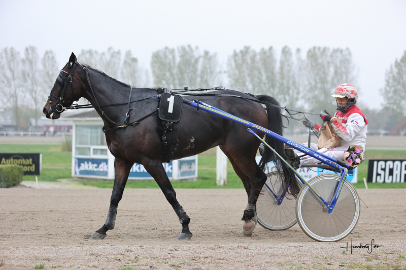 Aalborg 6 løb – Etoile Henley med årets første 895A5576
