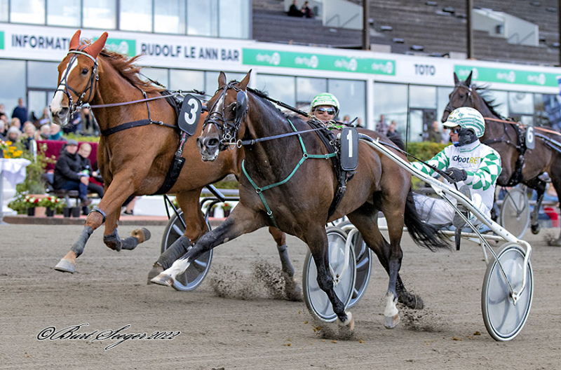 DELICIOUSSTONE S2 7973