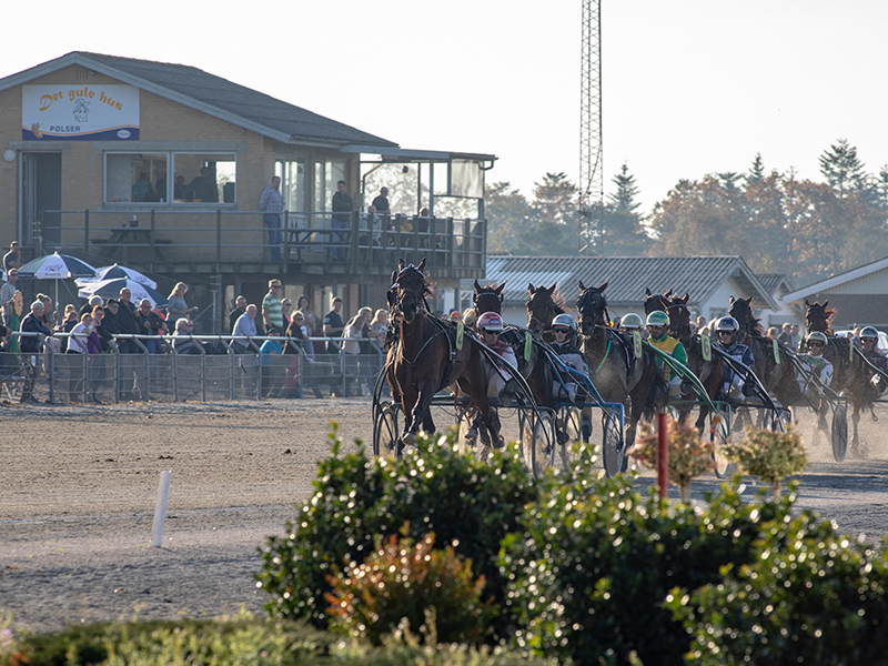 Pressemeddelelse fra Skive Trav Skive-trav