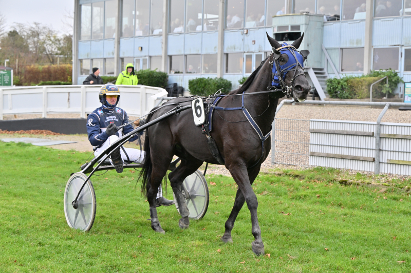 FRANZ J GER NZ9 4665