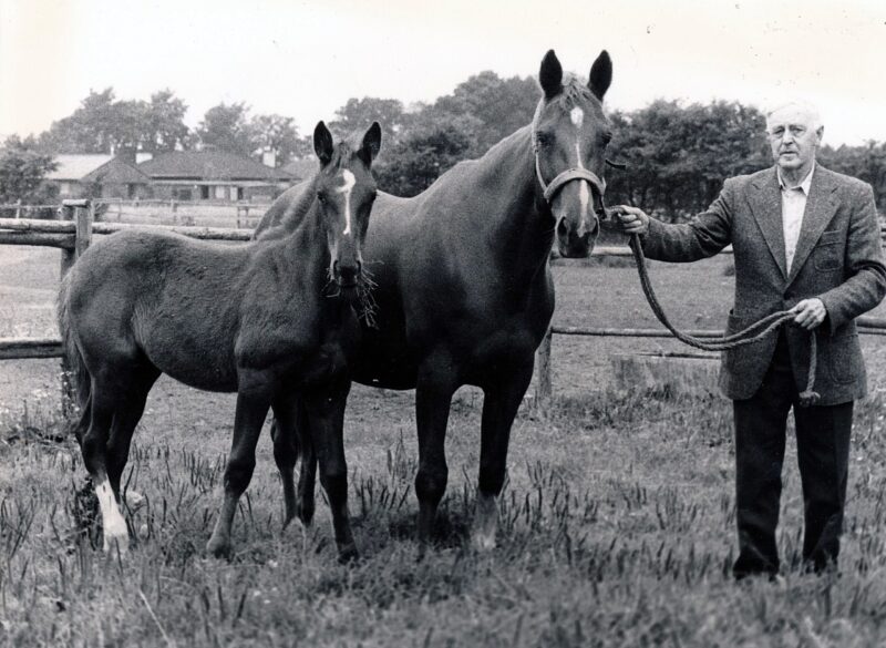 LilliHanover med GilliHanover scaled e1672417617532