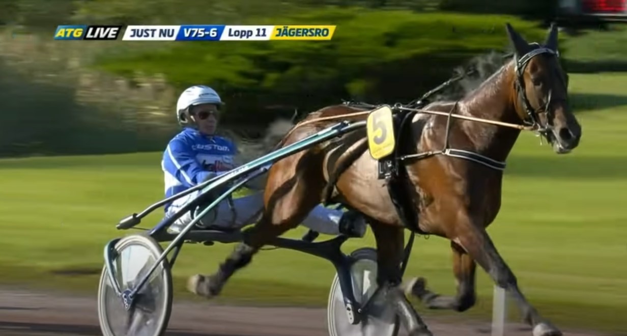 Udland - Nu starter man Calgary Games cAL