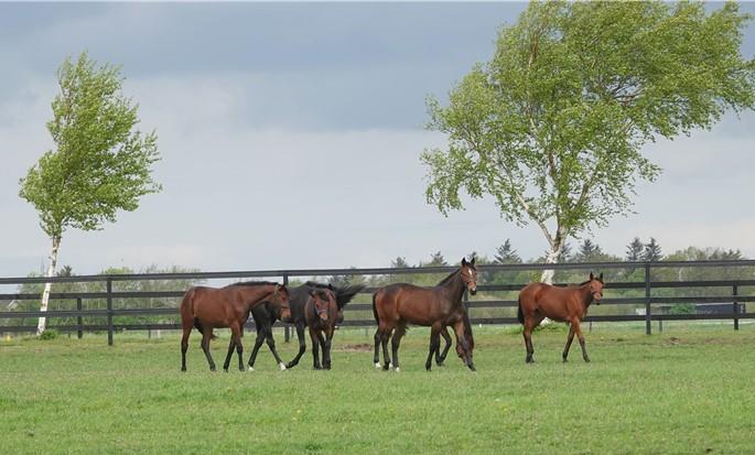 54406e3c 1654 4d19 9492 834a1f63bf25