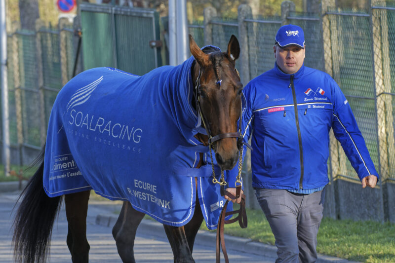 Twitter – En hest mindre i Prix d’Amérique Vincennes-11-12-2022