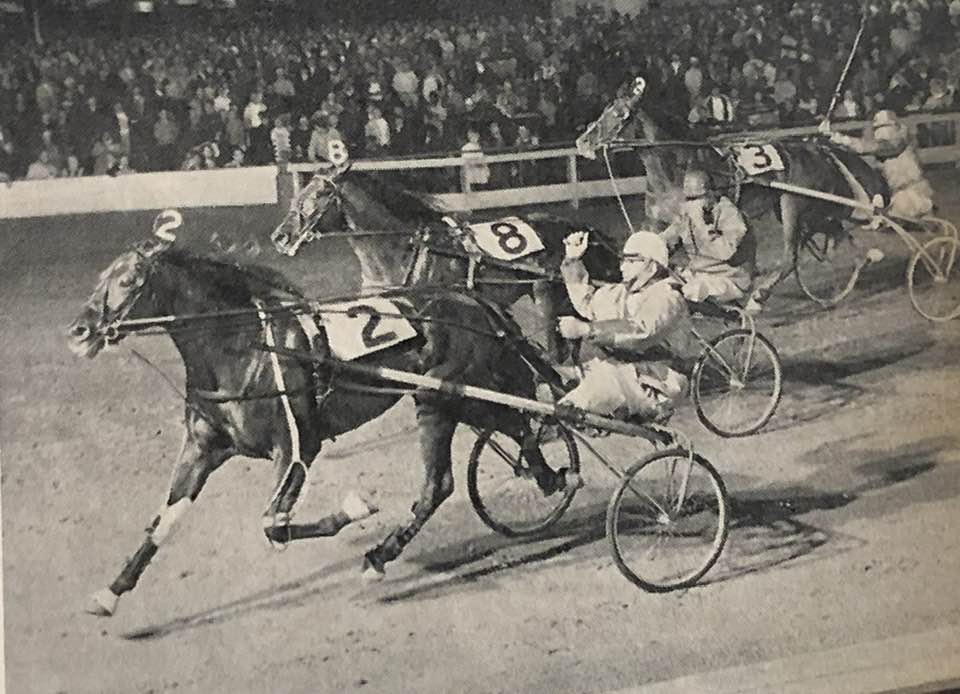 Pay Dirt vinder i USA 1966