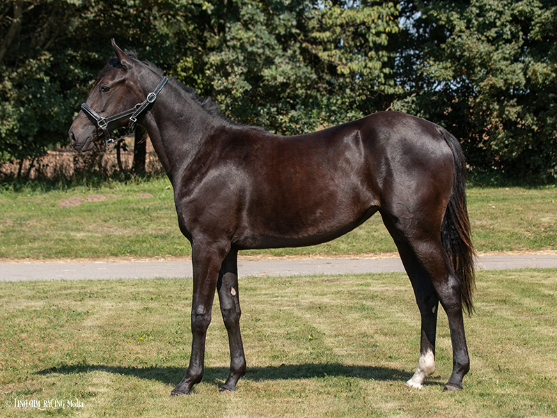 Fik en dobbeltseng for navnet 2_KollundMoebler_F1