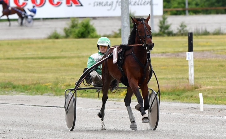 Sverige – Dansk årgangshest i sæsondebut IconicSotto-20220626-1-ny