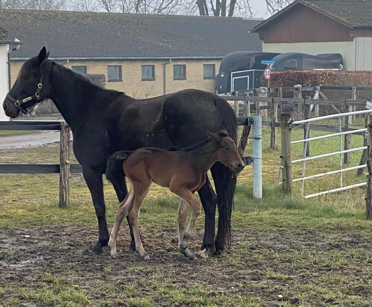 Følnyt hos Bent Koch 336621659_751466933258646_1223576450650313221_n