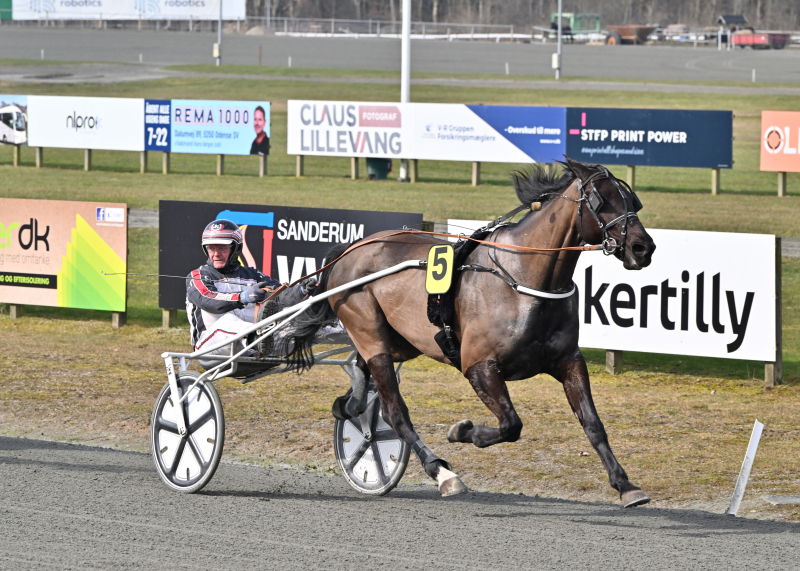 CASH_VALLEY_NZ9_7768