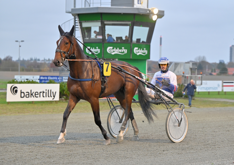 Ny hest til Flemming Jensen GIVEMEACHANCE_DSC_1914