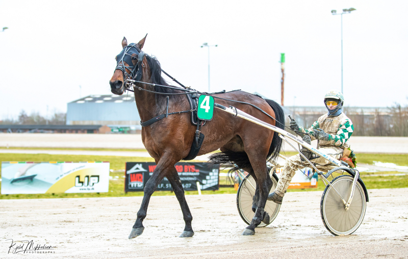 Generalen har fundet melodien IMG_0438