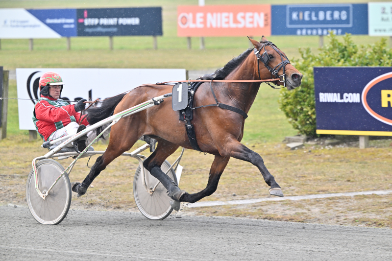 Ruder kunge pokalen på Lunden i dag JEFFERSON_NZ9_8024