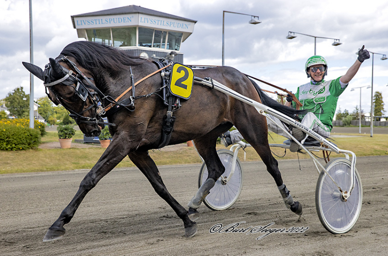 Gennah Sisa udbydes GENNAH_SISA_D2I0684