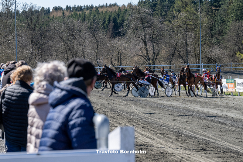 Storløbsdag på Bornholm i dag Voltestart_Bornholms_Brand_Park_22_april_2023_Fotograf_Torben_Ager_Travfoto_Bornholm_TKA_2288