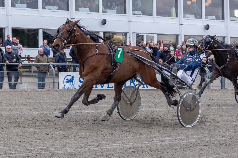 Fik sejr i fødselsdagsgave ferrari_gardenia
