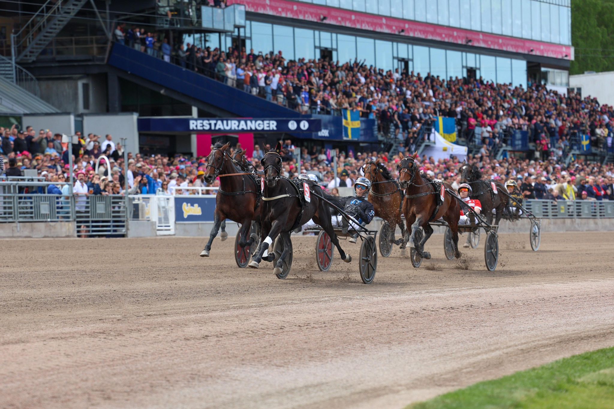 Sweden Cup - 3 afd. til Four Guys Dream 349442162_1223362511877937_3367627906511281932_n