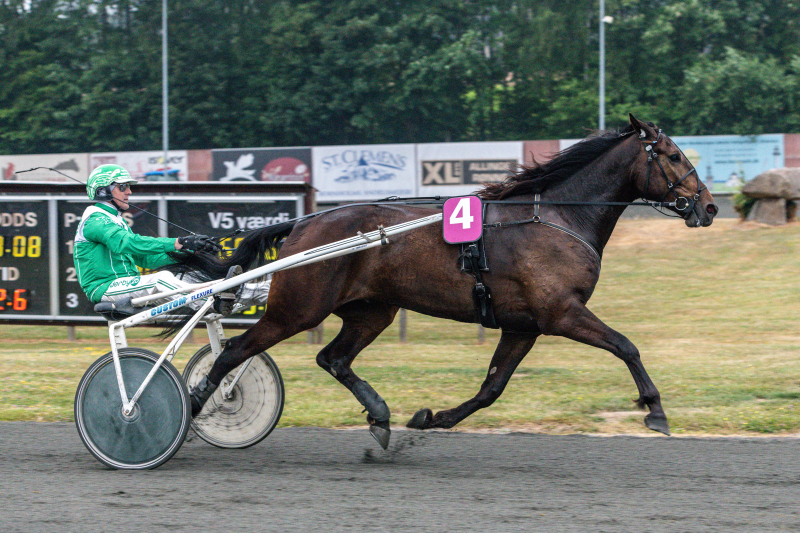 Auktion - Ny startklar traver tilmeldt Lord_Ravin_med_Rene_Kj_r_30._juni_2021_Fotograf_Torben_Ager_Travfoto_Bornholm_TKA_3594