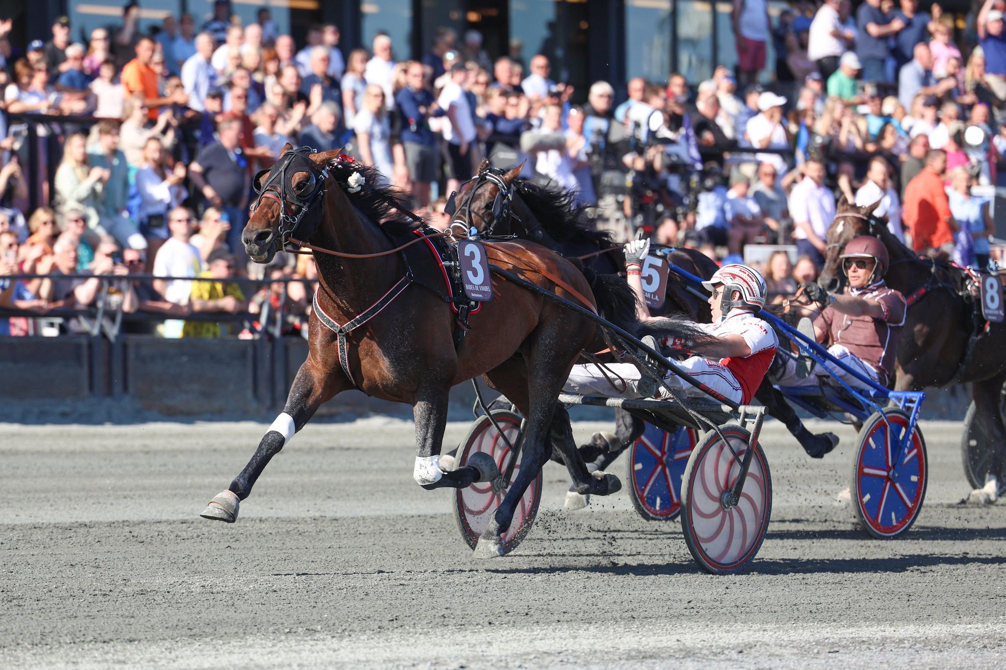 352580384 279719521079922 3397090154140998054 n