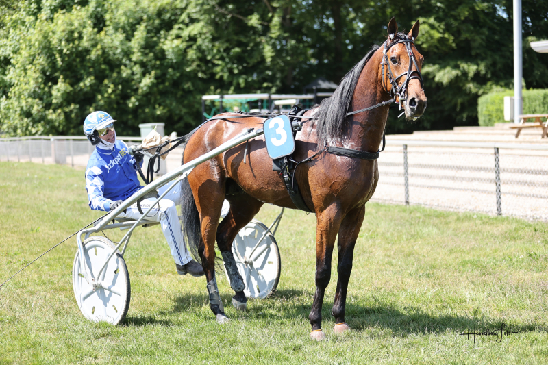 Har fundet melodien 895A0823