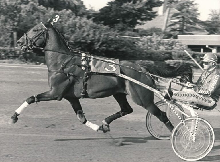 Derbyfavoritten Granit Bangsbo scaled e1687005340946