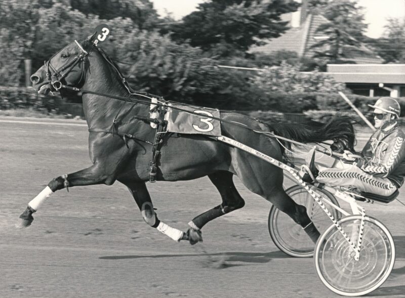 Derbyfavoritten Granit Bangsbo scaled e1687005340946