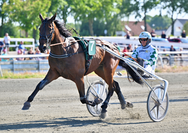 Auktion - Fantastisk historie om følhoppen HIGH_FIVE_NZ9_1808