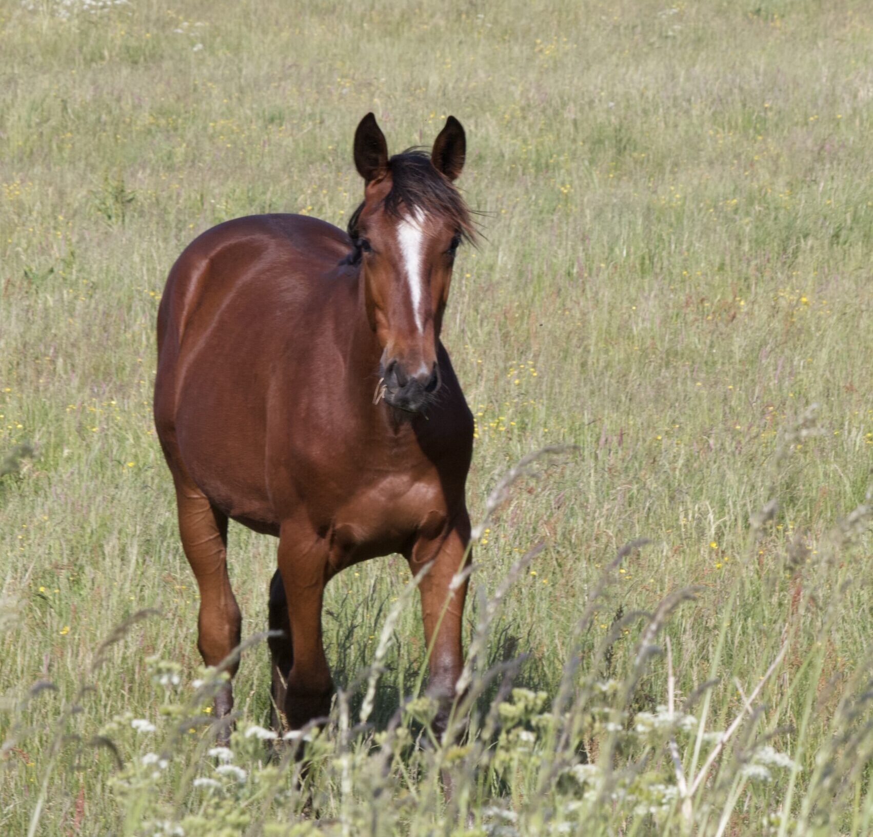 IMG 6963 scaled e1686604747588