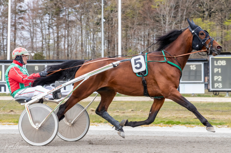 Kort nyt IMG_9308_Enjoy_The_Game_2_