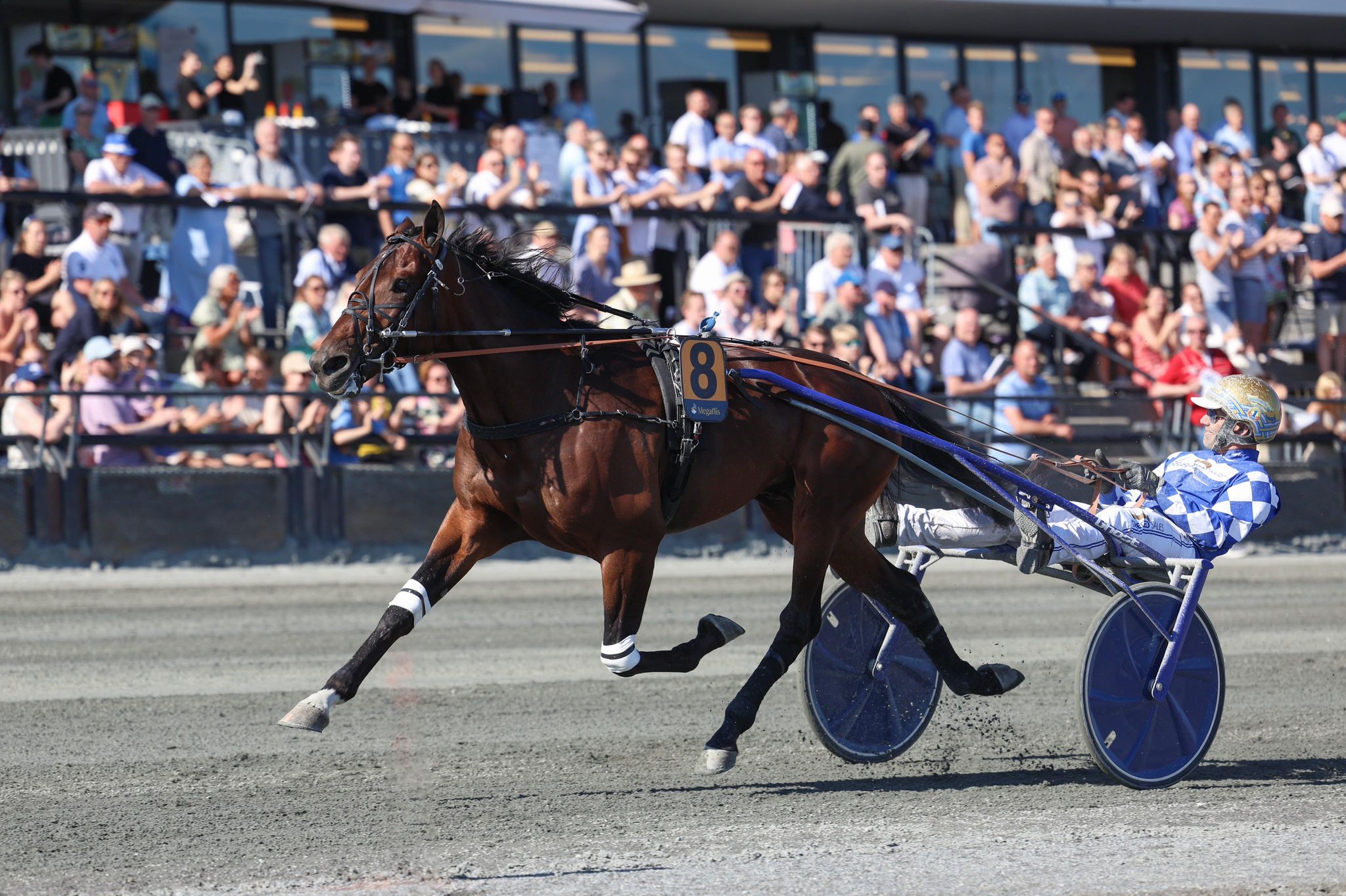 Jægersro - Sådan gik det danskerne b a