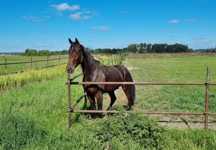 Hustle 2022 fold 772x1030 1 e1688720511553