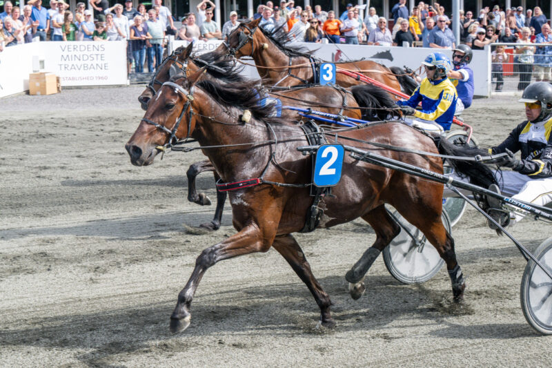 Billgate med Soeren K Jensen Bornholms Brand Park 12 august 2023 Fotograf Torben Ager Travfoto Bornholm TKA 4241 scaled e1691856533234