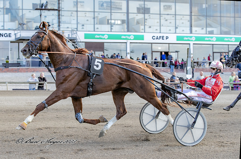 Norge - Ny sejr til Gautut Gardenia GAUTUT_GARDENIA_S2_9375