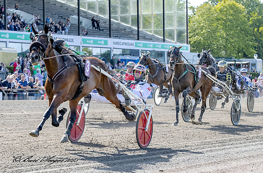 Trav Charlottenlund