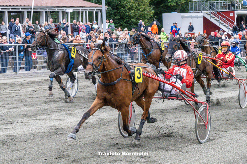 Hunger Rain med Mads Petersen Bornholms Brand Park 29 august 2023 Fotograf Torben Ager Travfoto Bornholm TKA 5929