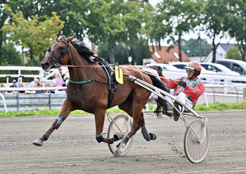 Kort nyt ICE_COOL_MONEY_NZ9_2423