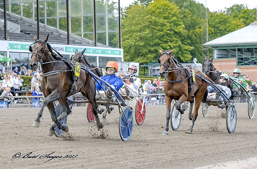 Hoppe Derbydagen - Sådan er det gået Trav Charlottenlund