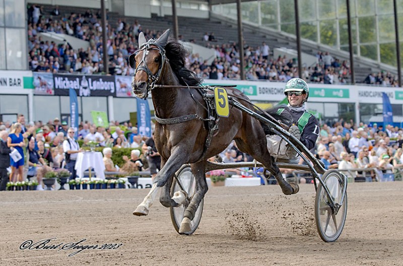 Startlister - Stærkt 4-årsløb Kungfufighting