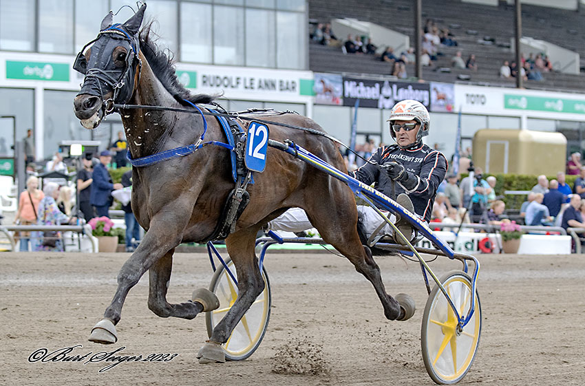 Kort nyt Trav Charlottenlund