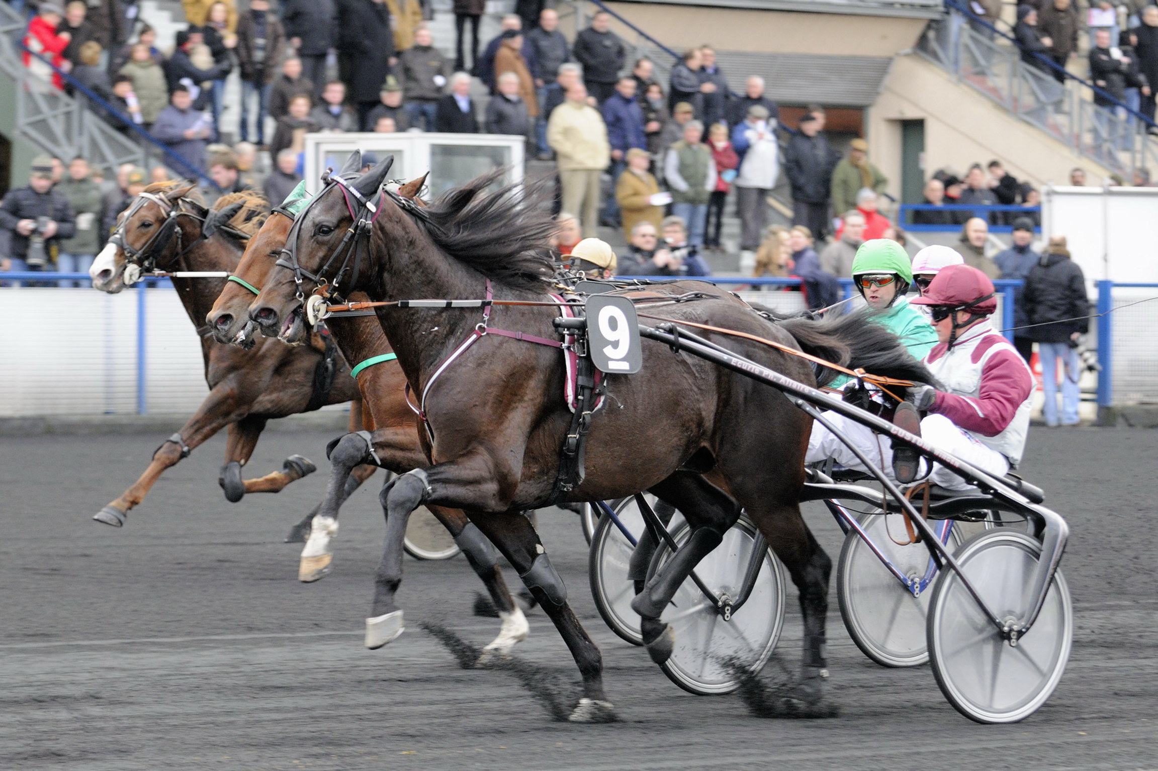 Ready Cash er gået bort – Årsag kolik Cracks Chevaux