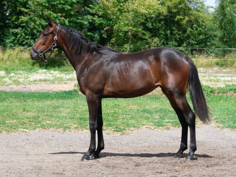 25 MaryJaneKelly F1 768x576 1