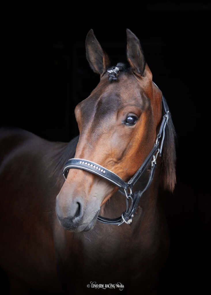 25 MaryJaneKelly F2 732x1024 1