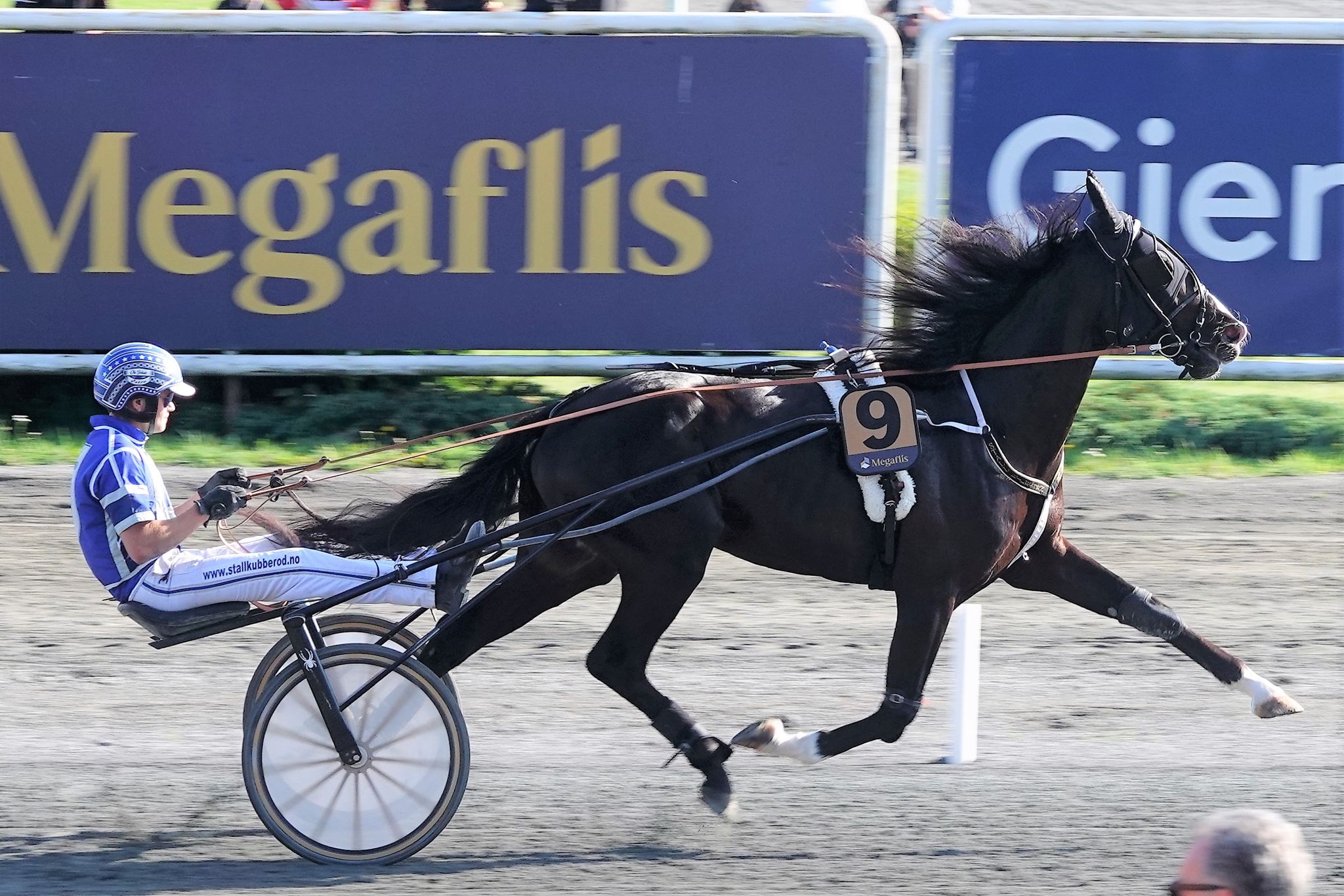 373474320 1144748560245227 6826022629885763755 n 1