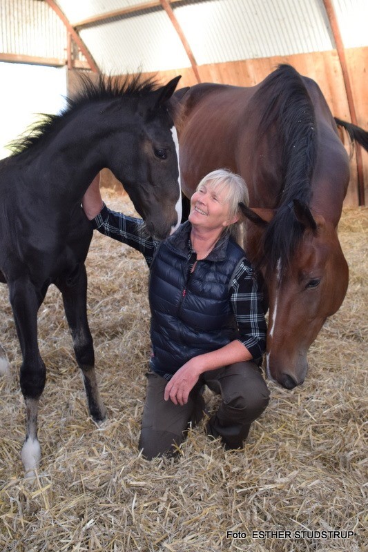 Kort nyt 373487725_1328819658023873_6484241233645634919_n