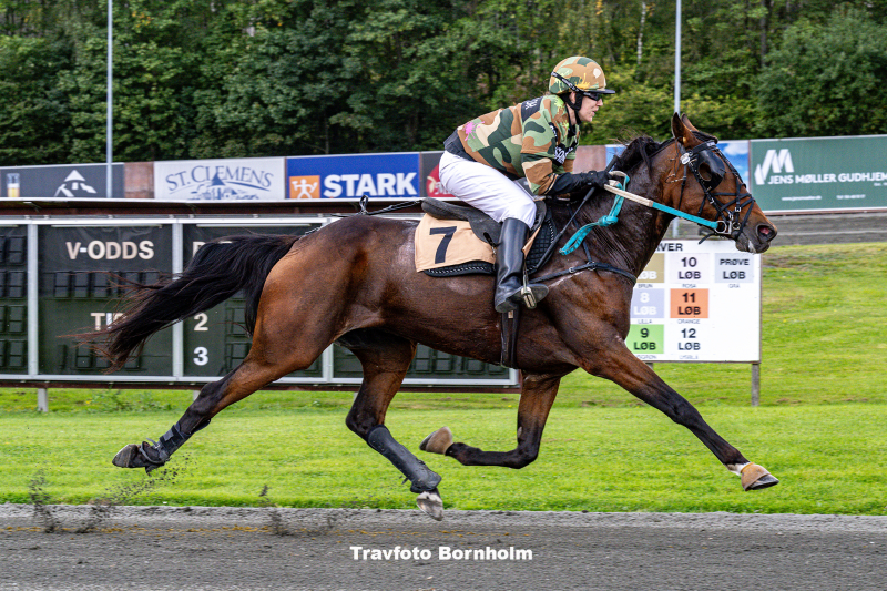 _Bonny_Boy_med_Annika_Skou_LundBornholms_Brand_Park_30_september_2023_Fotograf_Torben_Ager_Travfoto_Bornholm_TKA_9571