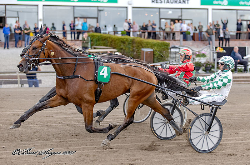 Dorob formidlet til Sverige DOROB_MGL4262