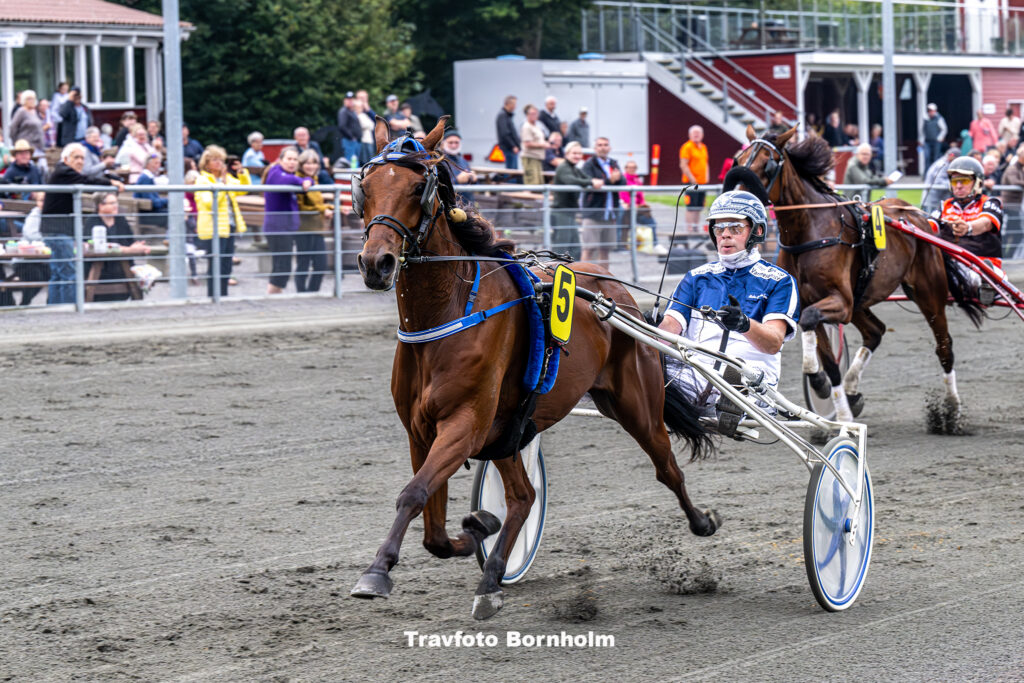 Gangsters Paradise med Martin Sjoholm Jensen Bornholms Brand Park 6 september 2023 Fotograf Torben Ager Travfoto Bornholm TKA 6625