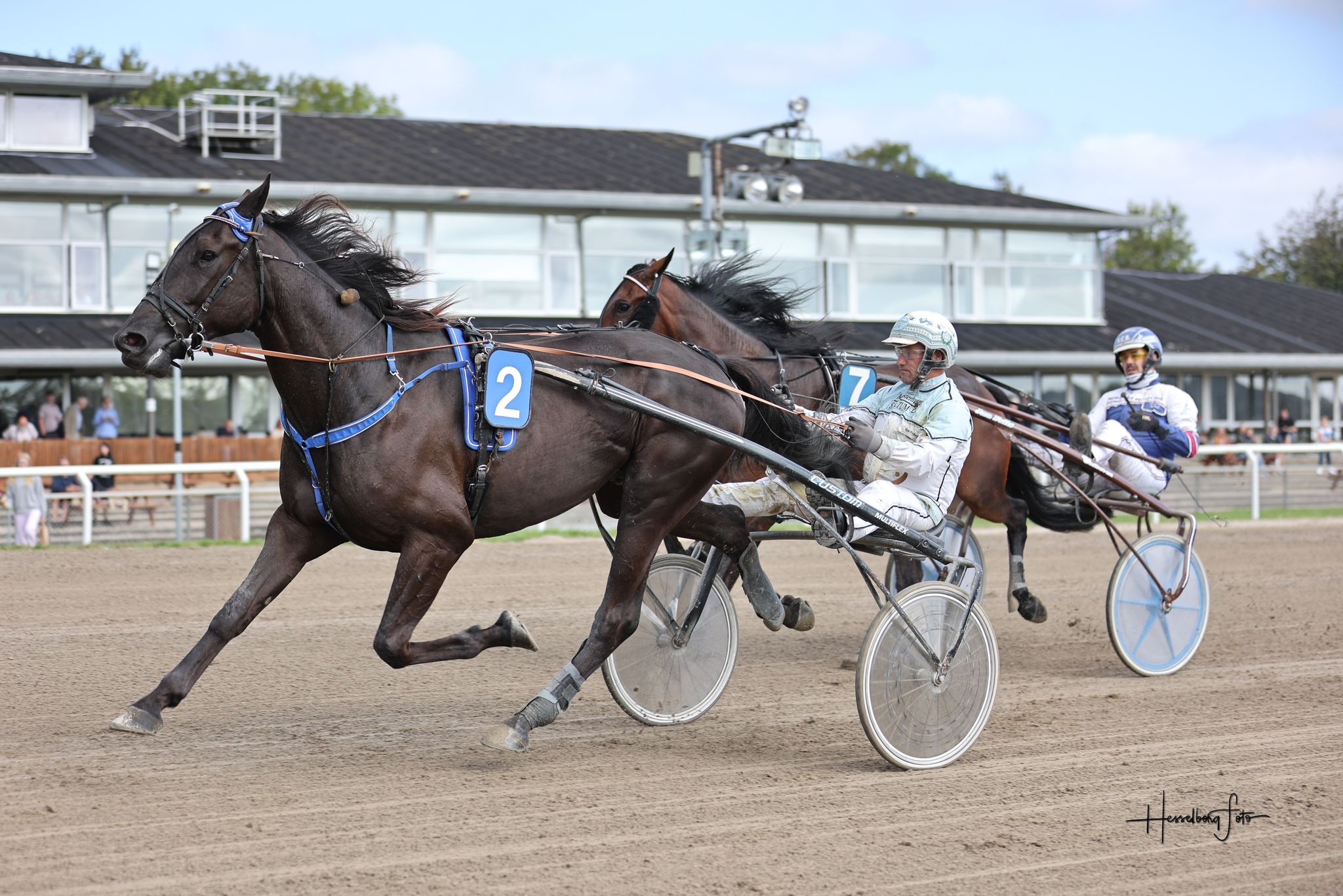 God lørdag for Kent Friborg Gucci Gogo