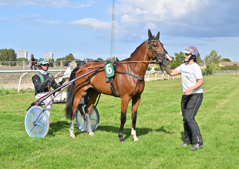 HIGHSTONE NZ9 8525