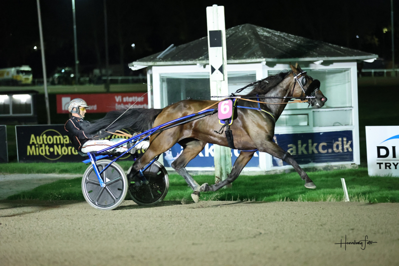 Hestesportens Galla - Et markant makkerpar i dansk travsport HenrikWill1